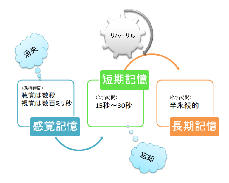 知ると頭が良くなる！記憶のメカニズム