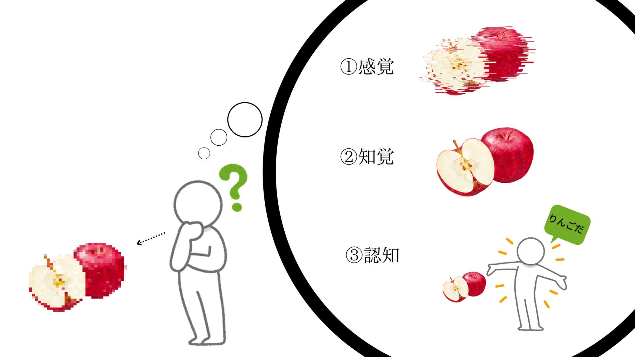 感覚知覚認知認識違い – 知覚と感覚の違い – BGFCID